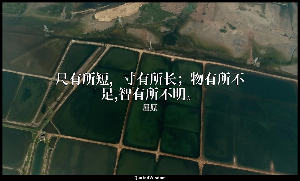 尺有所短，寸有所长；物有所不足,智有所不明。 — 屈原