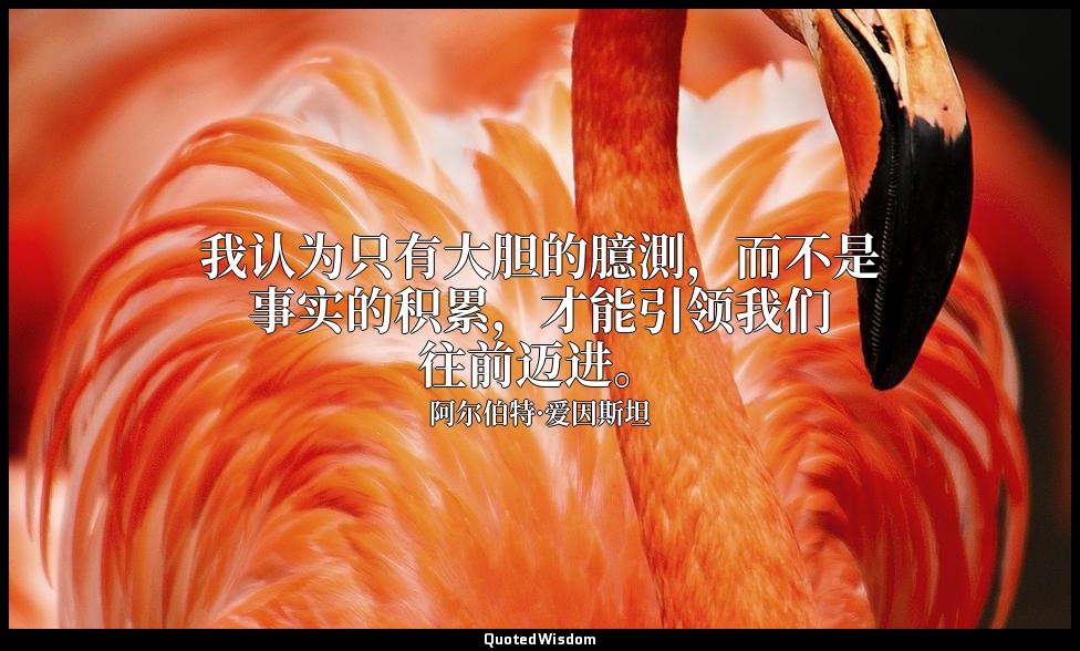 我认为只有大胆的臆測，而不是事实的积累，才能引领我们往前迈进。 — 阿尔伯特·爱因斯坦