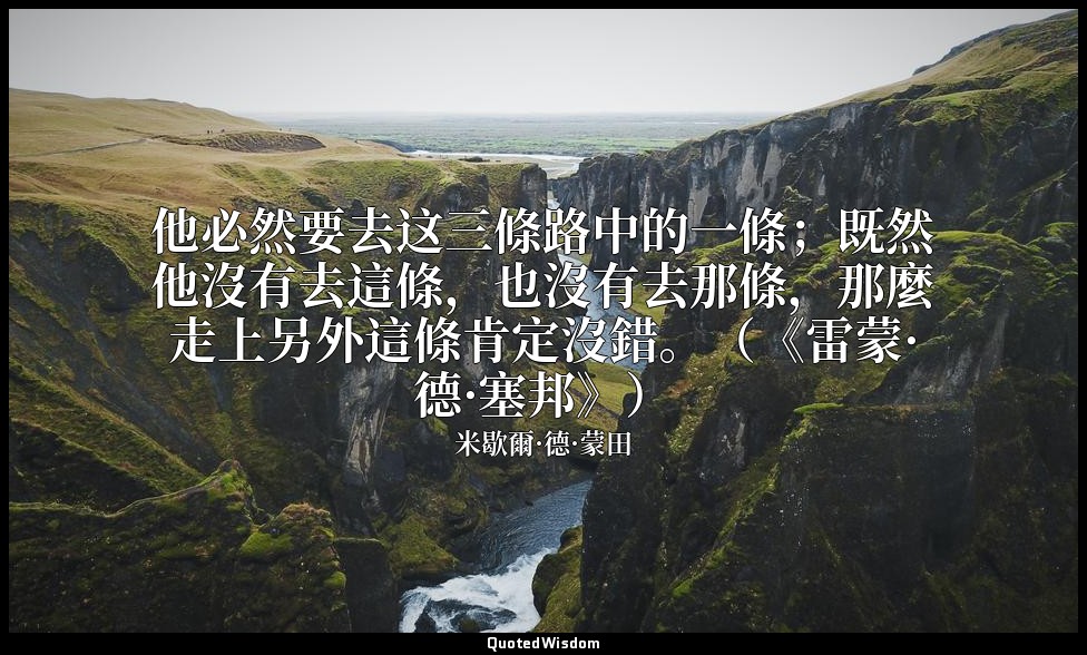 他必然要去这三條路中的一條；既然他沒有去這條，也沒有去那條，那麼走上另外這條肯定沒錯。（《雷蒙·德·塞邦》） — 米歇爾·德·蒙田