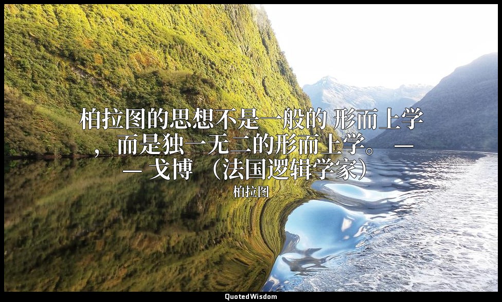 柏拉图的思想不是一般的 形而上学 ，而是独一无二的形而上学。 —— 戈博 （法国逻辑学家） — 柏拉图
