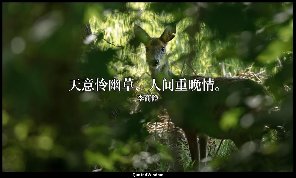 天意怜幽草，人间重晚情。 — 李商隐