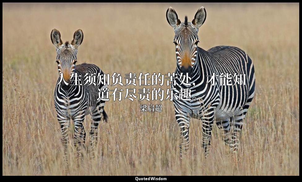 人生须知负责任的苦处，才能知道有尽责的乐趣。 — 梁启超