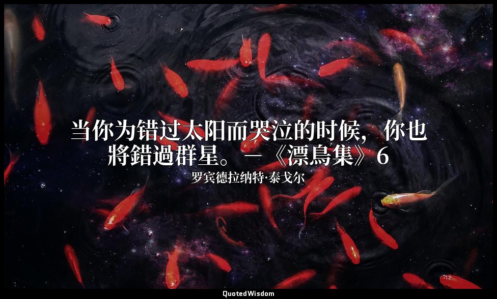 当你为错过太阳而哭泣的时候，你也將錯過群星。－《漂鳥集》6 — 罗宾德拉纳特·泰戈尔