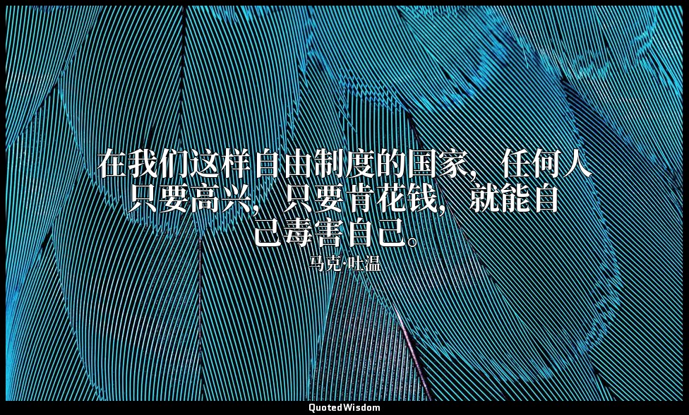 在我们这样自由制度的国家，任何人只要高兴，只要肯花钱，就能自己毒害自己。 — 马克·吐温