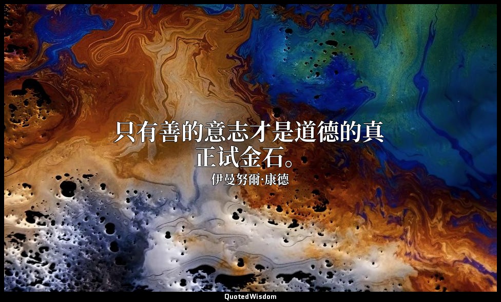 只有善的意志才是道德的真正试金石。 — 伊曼努爾·康德