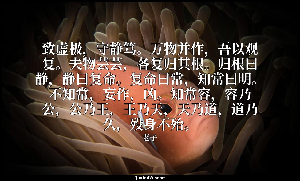 致虚极，守静笃。万物并作，吾以观复。夫物芸芸，各复归其根。归根曰静，静曰复命。复命曰常，知常曰明。不知常，妄作，凶。知常容，容乃公，公乃王，王乃天，天乃道，道乃 — 老子