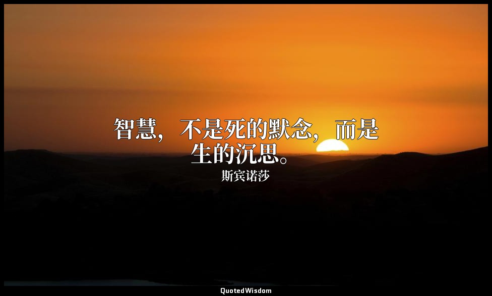 智慧，不是死的默念，而是生的沉思。 — 斯宾诺莎