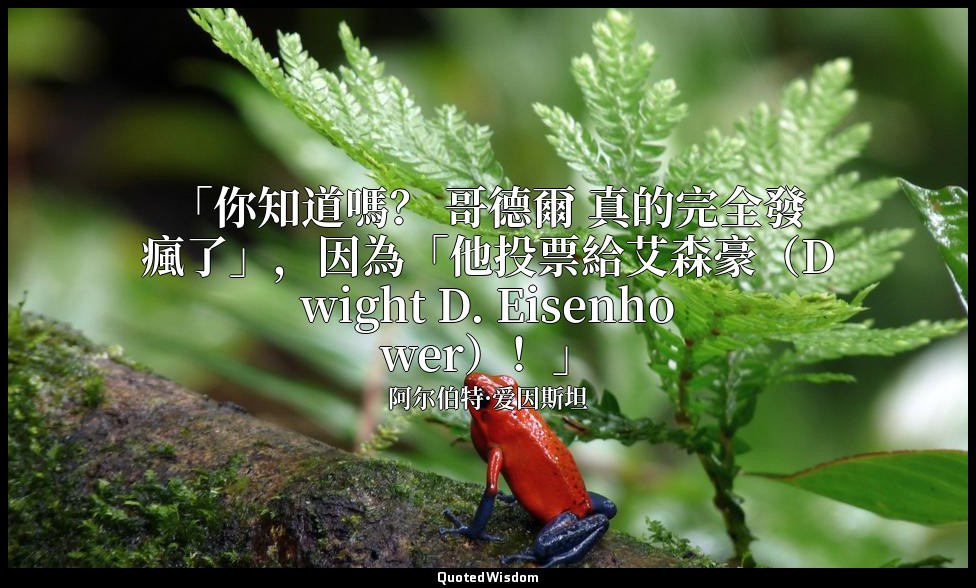 「你知道嗎？ 哥德爾 真的完全發瘋了」，因為「他投票給艾森豪（Dwight D. Eisenhower）！」 — 阿尔伯特·爱因斯坦