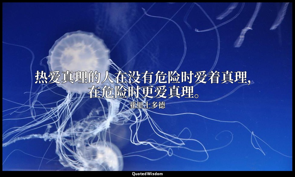 热爱真理的人在没有危险时爱着真理，在危险时更爱真理。 — 亚里士多德