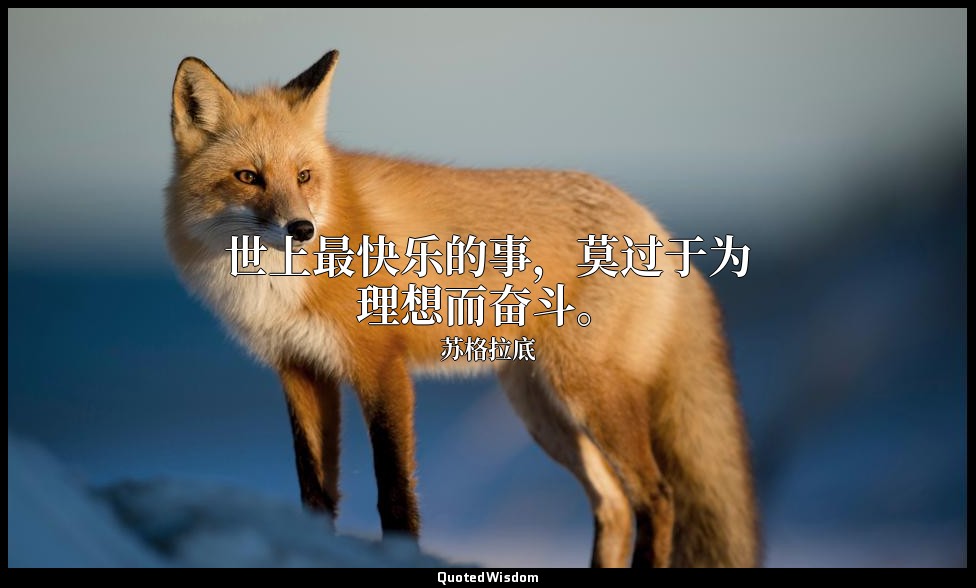 世上最快乐的事，莫过于为理想而奋斗。 — 苏格拉底