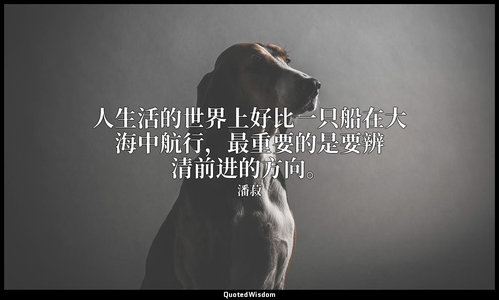 人生活的世界上好比一只船在大海中航行，最重要的是要辨清前进的方向。 — 潘菽