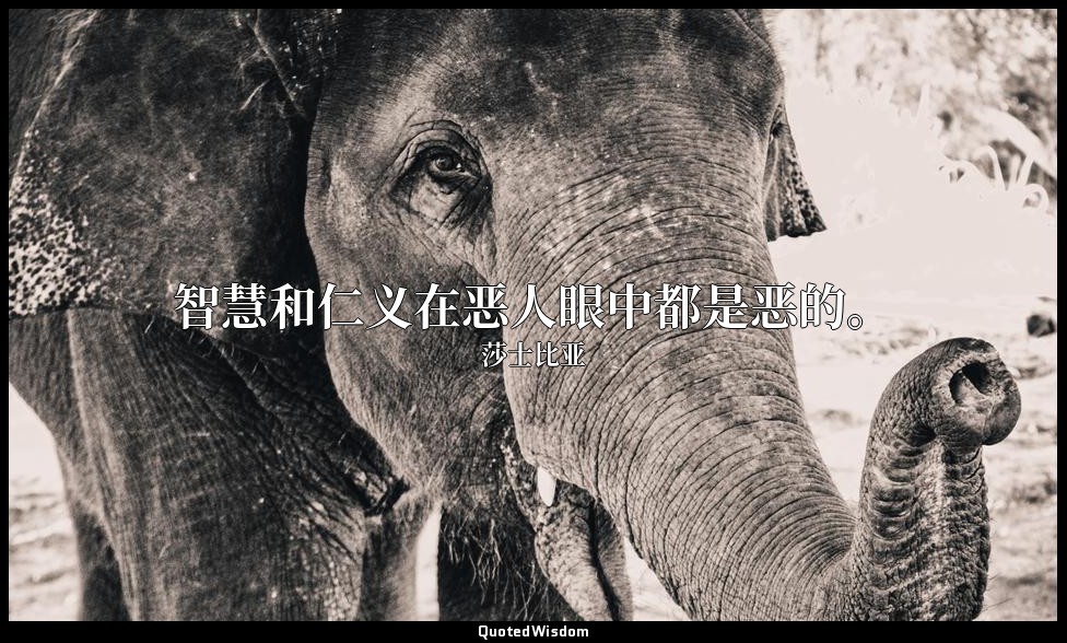 智慧和仁义在恶人眼中都是恶的。 — 莎士比亚