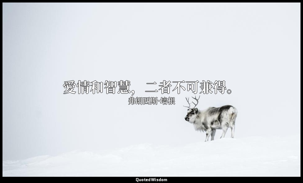 愛情和智慧，二者不可兼得。 — 弗朗西斯·培根
