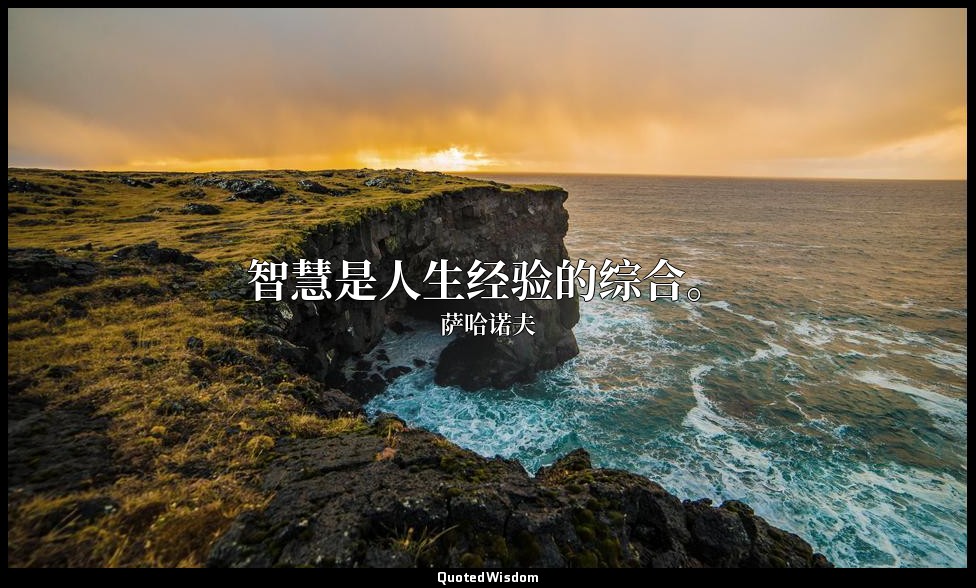 智慧是人生经验的综合。 — 萨哈诺夫