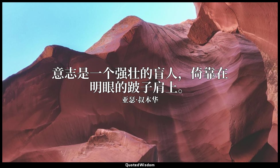 意志是一个强壮的盲人，倚靠在明眼的跛子肩上。 — 亚瑟·叔本华