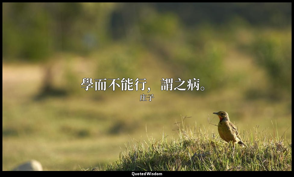 學而不能行，謂之病。 — 庄子