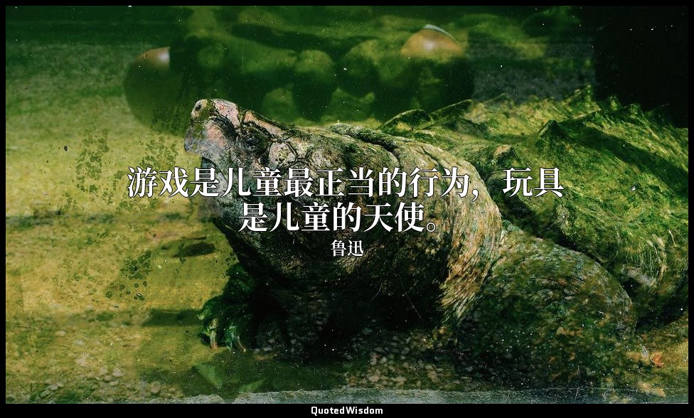 游戏是儿童最正当的行为，玩具是儿童的天使。 — 鲁迅