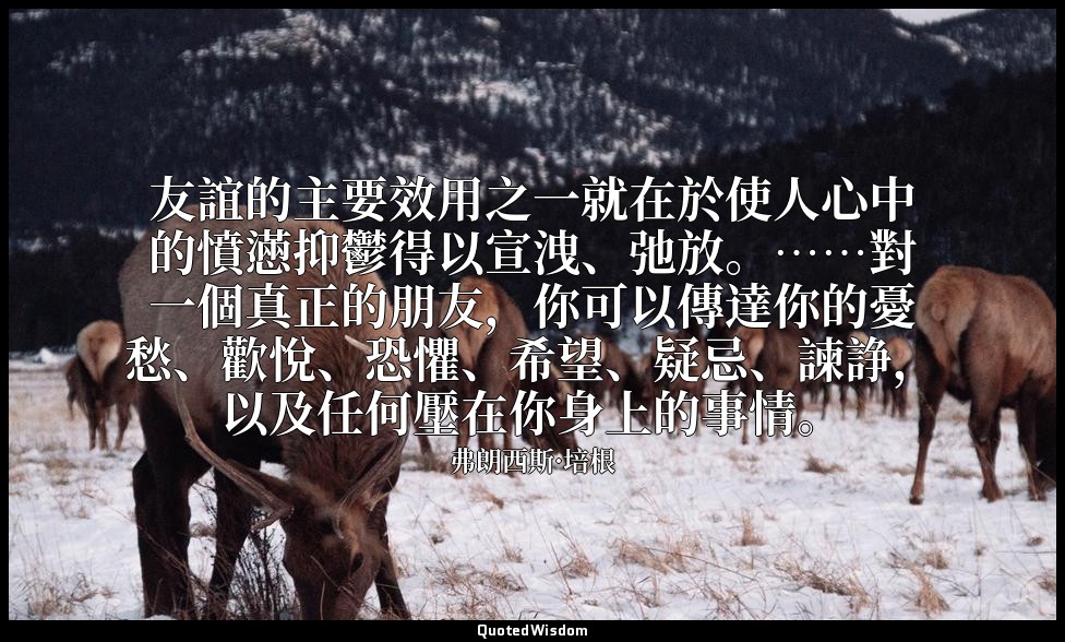 友誼的主要效用之一就在於使人心中的憤懣抑鬱得以宣洩、弛放。……對一個真正的朋友，你可以傳達你的憂愁、歡悅、恐懼、希望、疑忌、諫諍，以及任何壓在你身上的事情。 — 弗朗西斯·培根