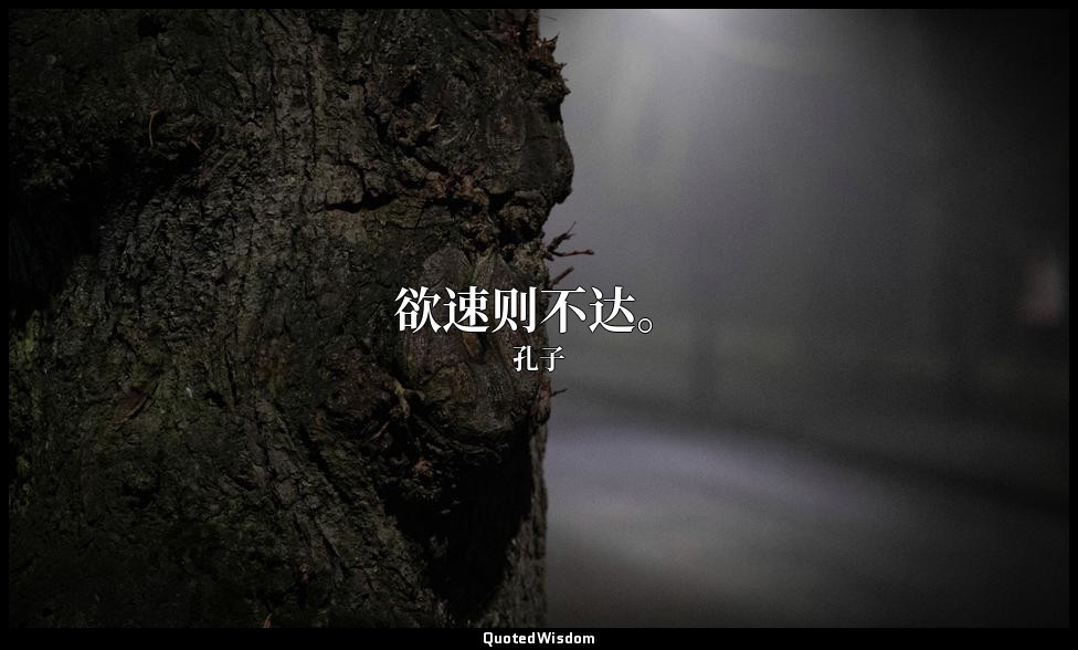 欲速则不达。 — 孔子