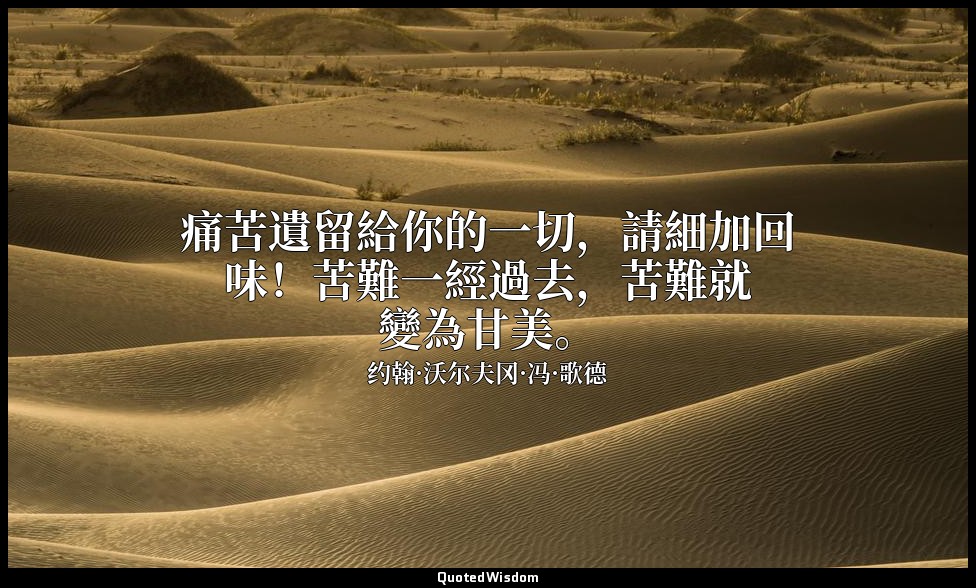 痛苦遺留給你的一切，請細加回味！苦難一經過去，苦難就變為甘美。 — 约翰·沃尔夫冈·冯·歌德