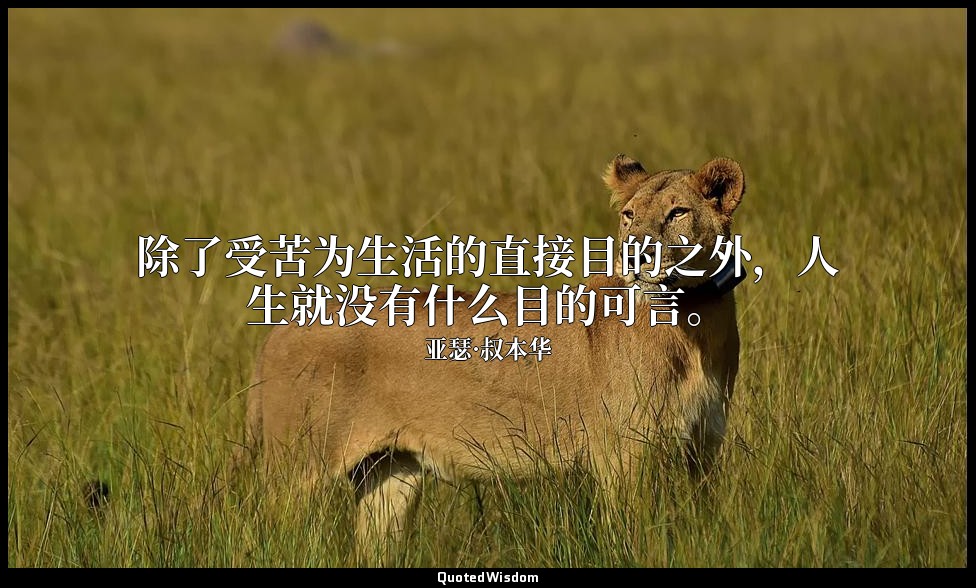 除了受苦为生活的直接目的之外，人生就没有什么目的可言。 — 亚瑟·叔本华