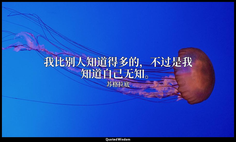 我比别人知道得多的，不过是我知道自己无知。 — 苏格拉底