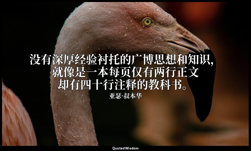 没有深厚经验衬托的广博思想和知识，就像是一本每页仅有两行正文却有四十行注释的教科书。 — 亚瑟·叔本华