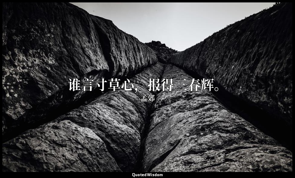 谁言寸草心，报得三春辉。 — 孟郊