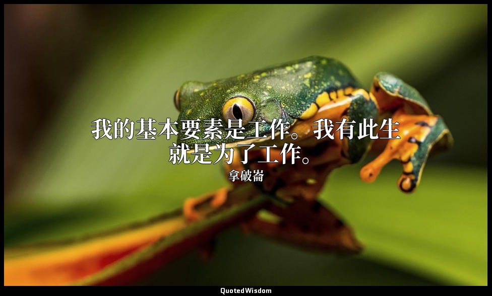 我的基本要素是工作。我有此生就是为了工作。 — 拿破崙