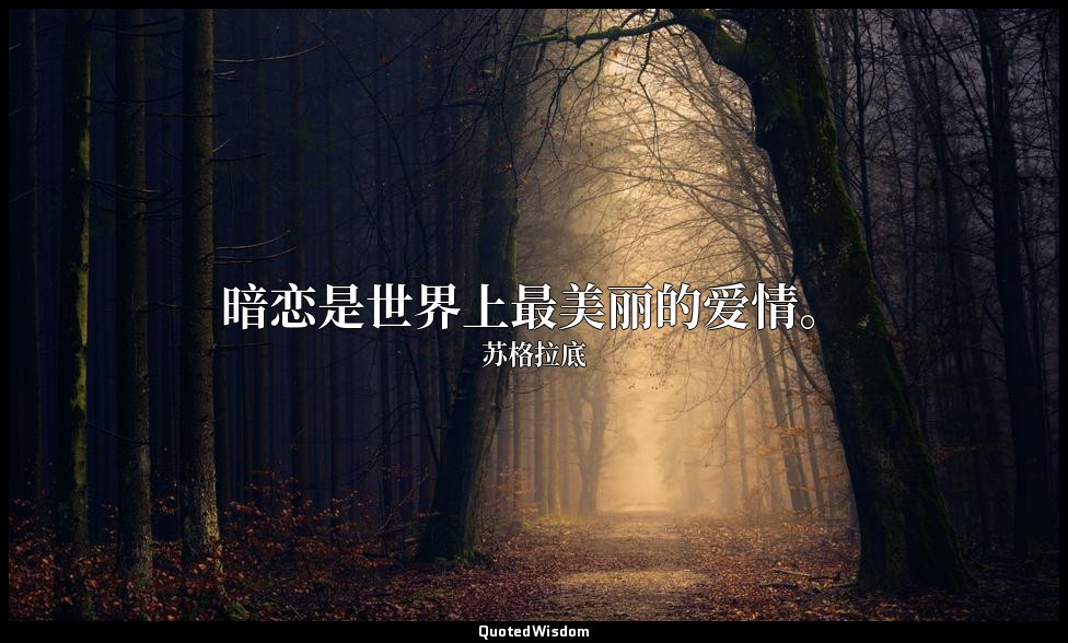 暗恋是世界上最美丽的爱情。 — 苏格拉底