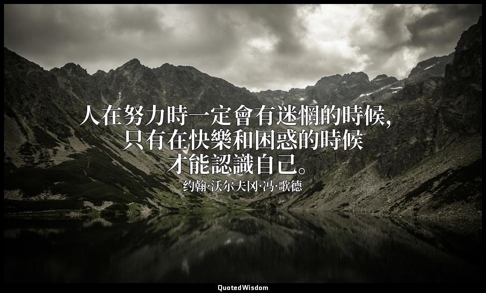 人在努力時一定會有迷惘的時候，只有在快樂和困惑的時候才能認識自己。 — 约翰·沃尔夫冈·冯·歌德
