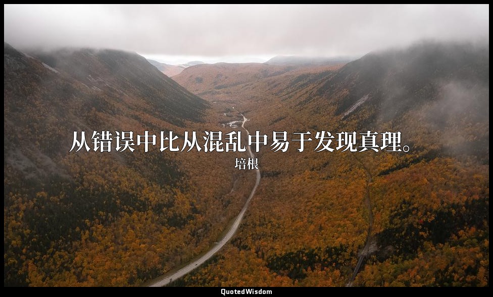 从错误中比从混乱中易于发现真理。 — 培根