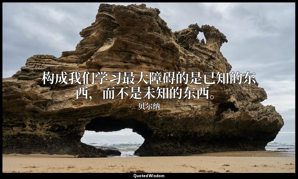 构成我们学习最大障碍的是已知的东西，而不是未知的东西。 — 贝尔纳