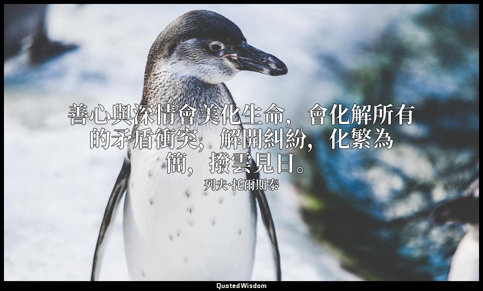 善心與深情會美化生命，會化解所有的矛盾衝突，解開糾紛，化繁為簡，撥雲見日。 — 列夫·托爾斯泰
