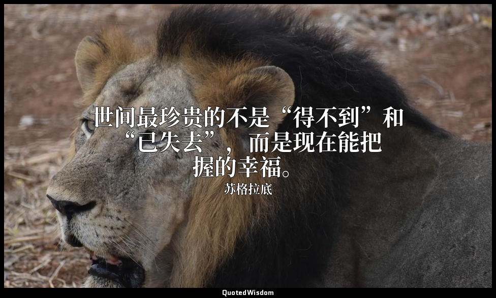 世间最珍贵的不是“得不到”和“已失去”，而是现在能把握的幸福。 — 苏格拉底
