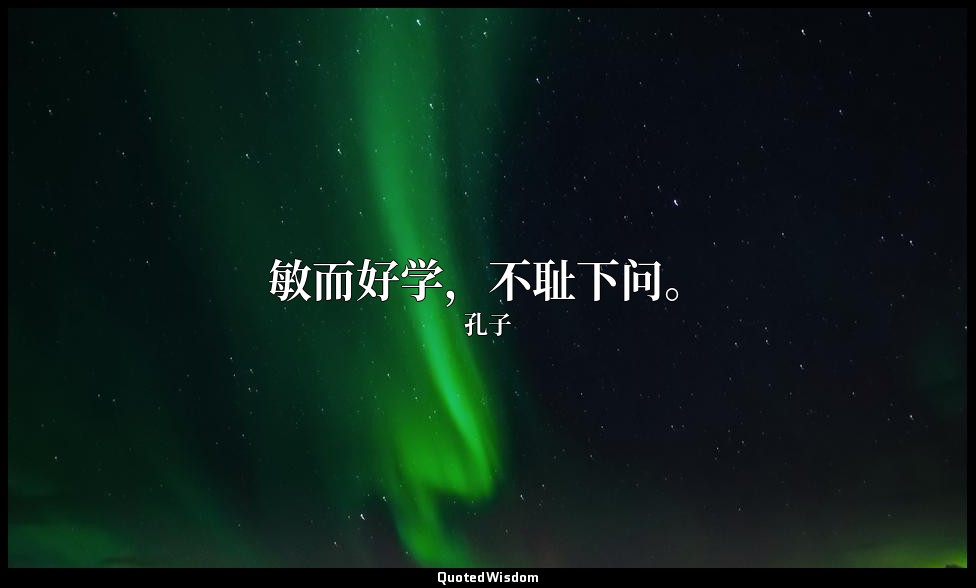 敏而好学，不耻下问。 — 孔子
