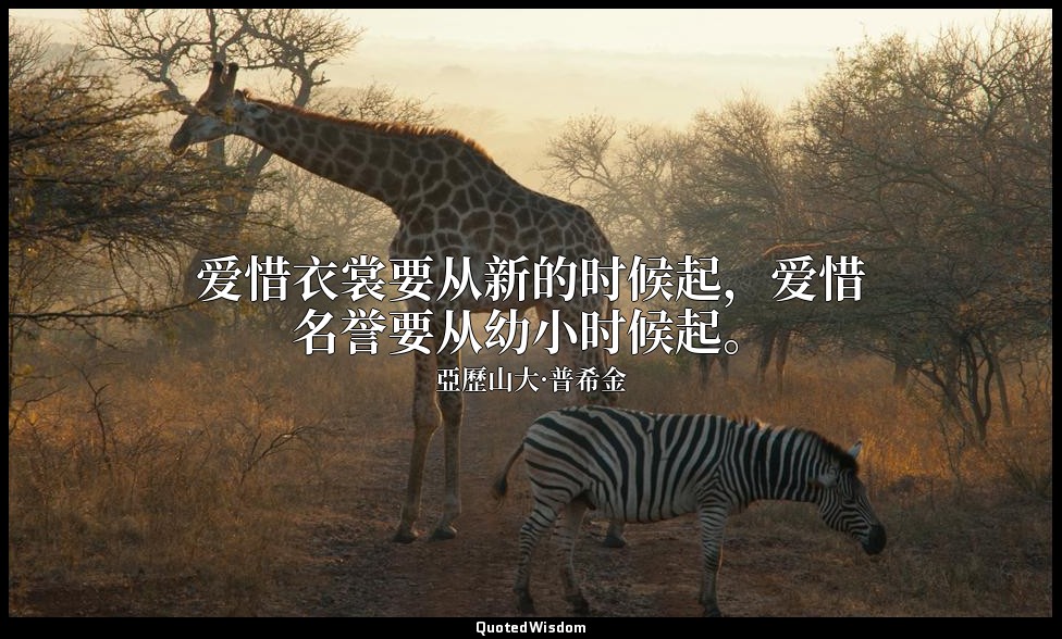爱惜衣裳要从新的时候起，爱惜名誉要从幼小时候起。 — 亞歷山大·普希金