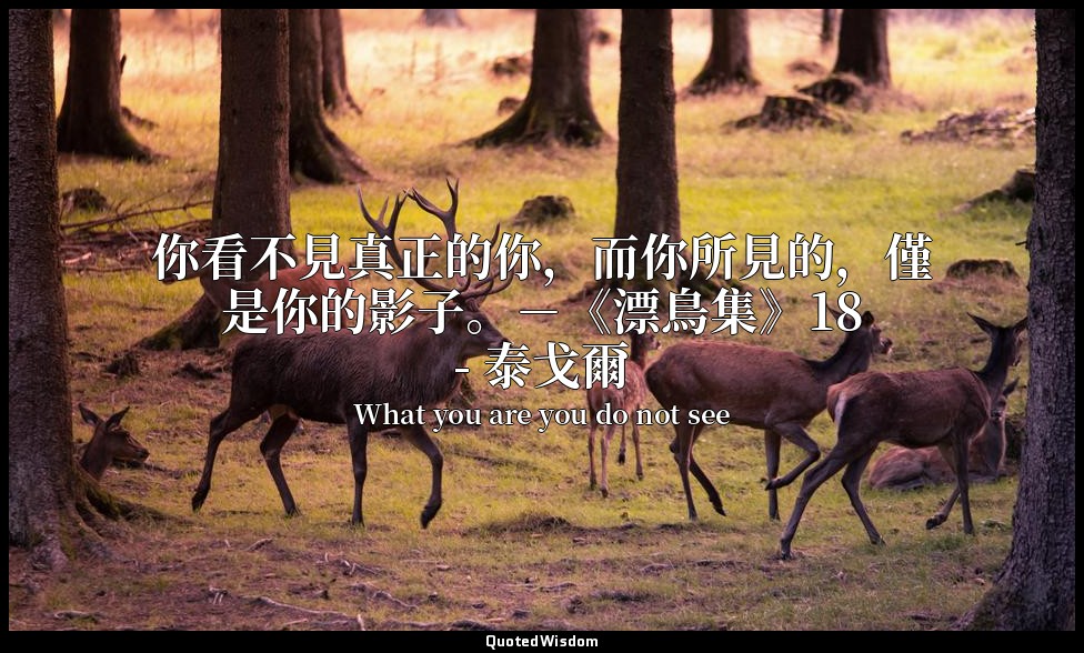 你看不見真正的你，而你所見的，僅是你的影子。－《漂鳥集》18- 泰戈爾 — What you are you do not see