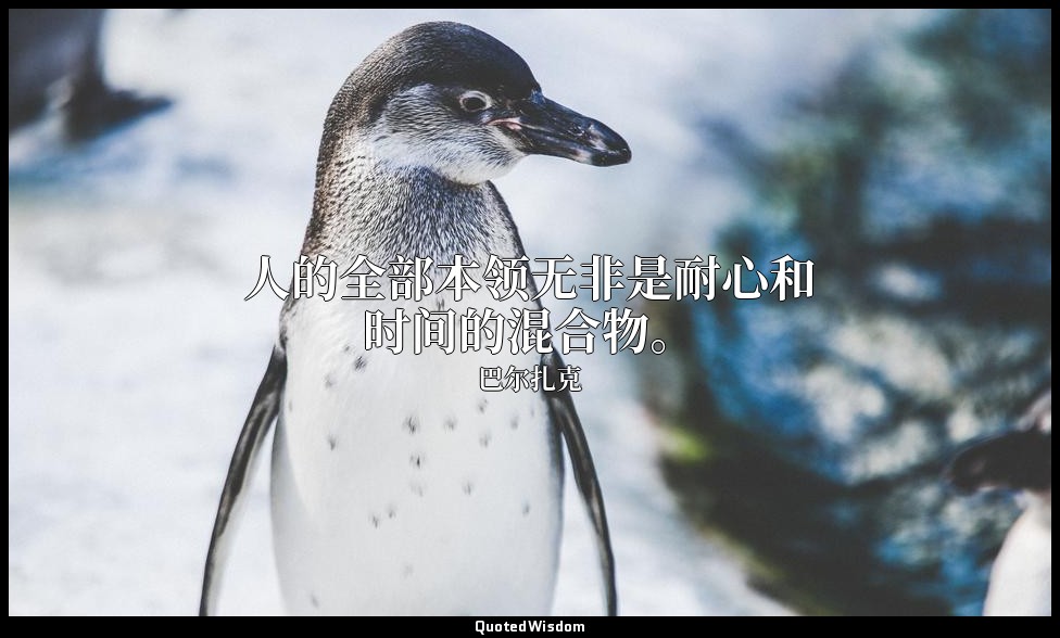 人的全部本领无非是耐心和时间的混合物。 — 巴尔扎克