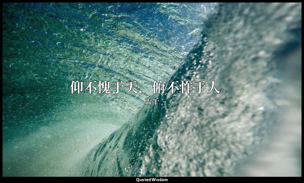 仰不愧于天，俯不怍于人。 — 孟子