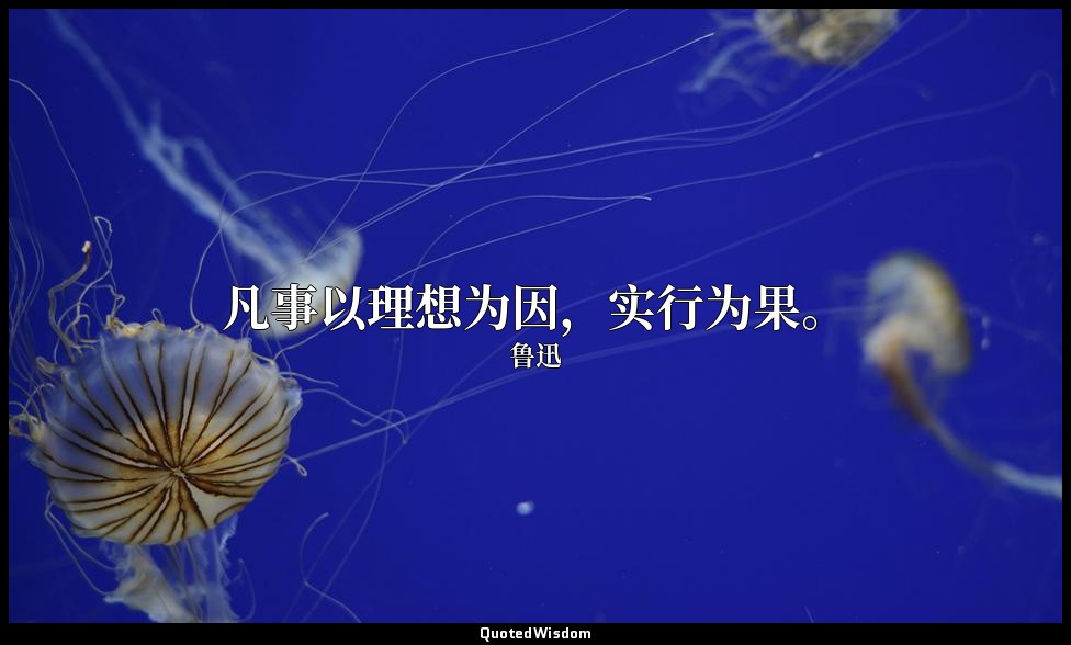 凡事以理想为因，实行为果。 — 鲁迅