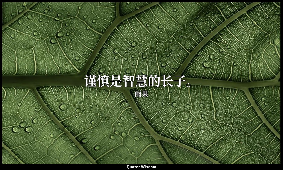 谨慎是智慧的长子。 — 雨果