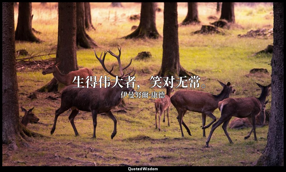 生得伟大者，笑对无常。 — 伊曼努爾·康德