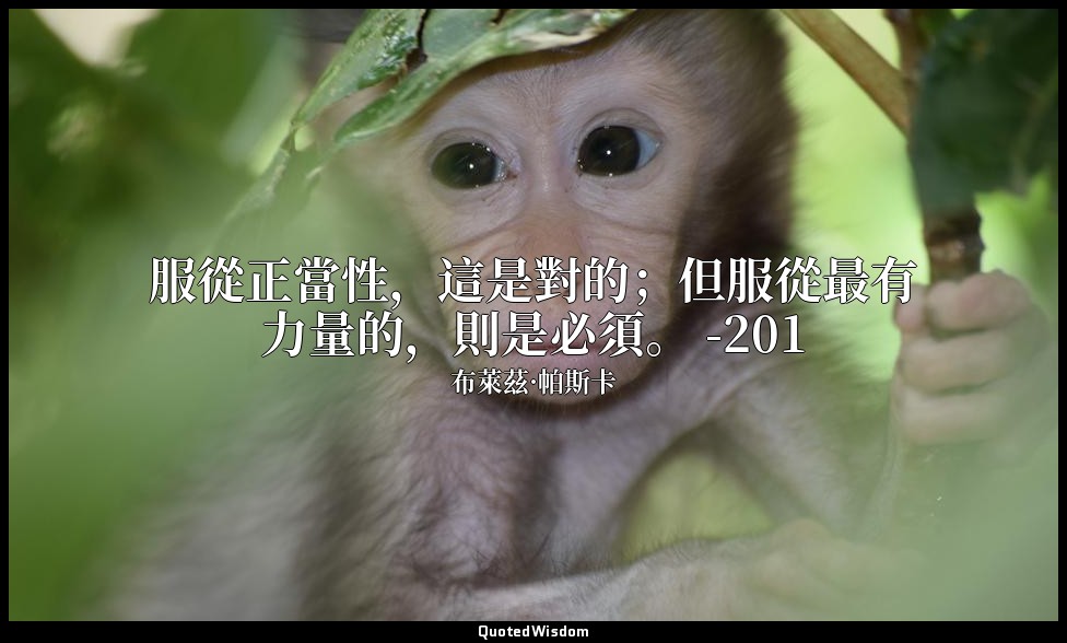 服從正當性，這是對的；但服從最有力量的，則是必須。 -201 — 布萊茲·帕斯卡