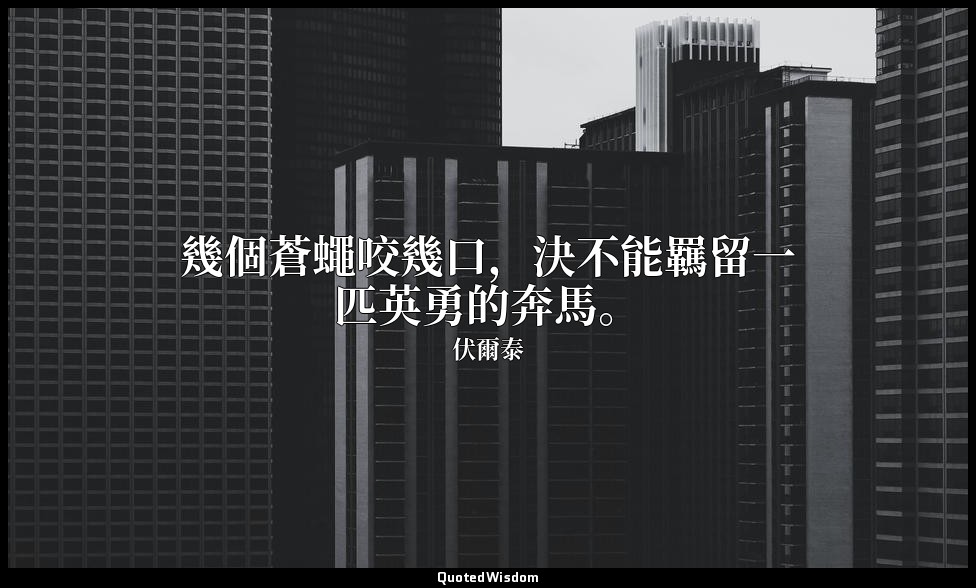 幾個蒼蠅咬幾口，決不能羈留一匹英勇的奔馬。 — 伏爾泰