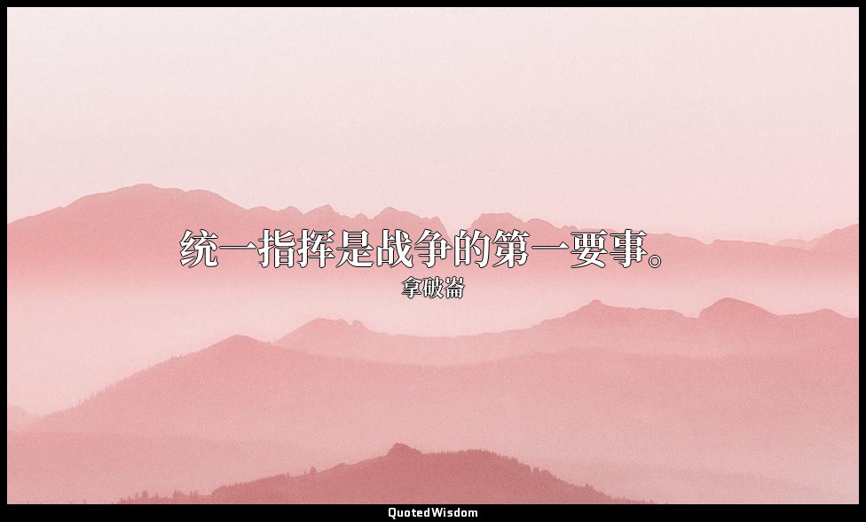 统一指挥是战争的第一要事。 — 拿破崙