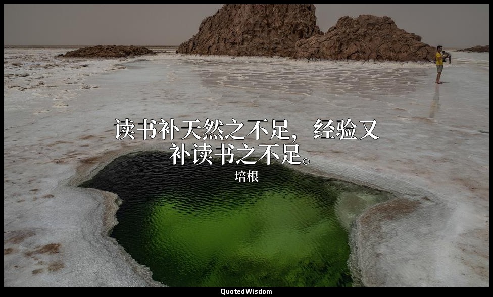 读书补天然之不足，经验又补读书之不足。 — 培根