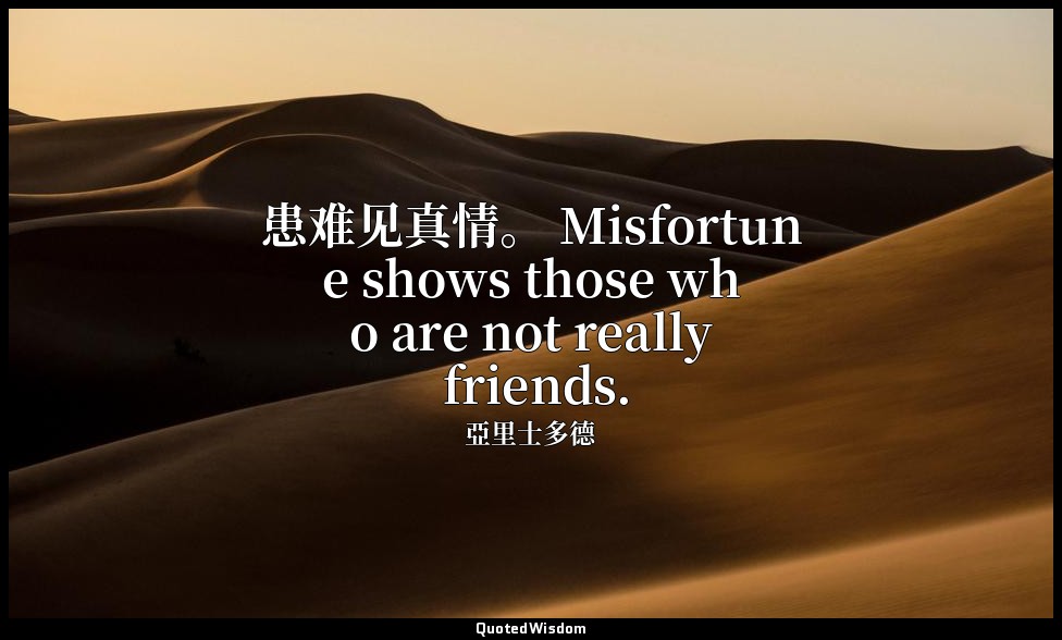 患难见真情。 Misfortune shows those who are not really friends. — 亞里士多德