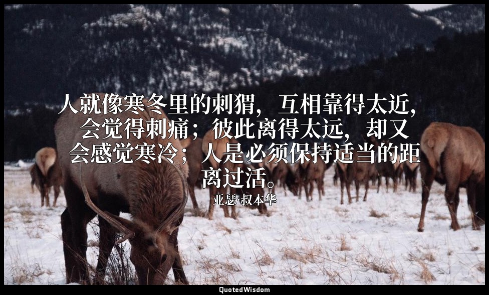 人就像寒冬里的刺猬，互相靠得太近，会觉得刺痛；彼此离得太远，却又会感觉寒冷；人是必须保持适当的距离过活。 — 亚瑟·叔本华