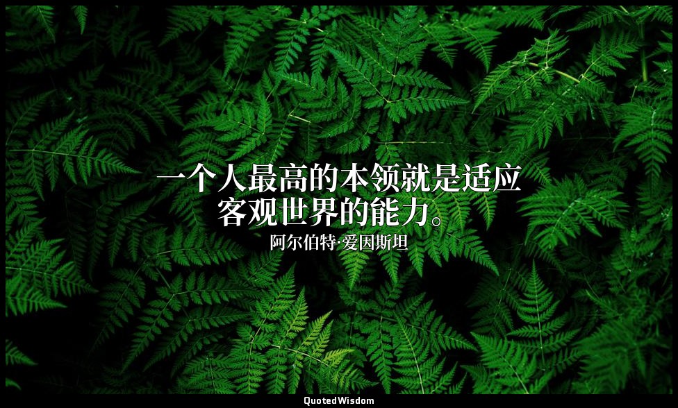 一个人最高的本领就是适应客观世界的能力。 — 阿尔伯特·爱因斯坦